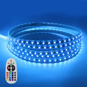 Striscia luminosa LED RGB 110 V SMD 5050 dimmerabile e flessibile corda intelligente con telecomando