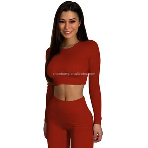 Tenue de sport tricotée pour femmes européennes et américaines, ensemble de vêtements côtelés, sans couture, Yoga, fitness, costume