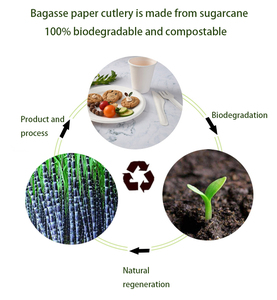 100% Composteerbaar Bestek Biologisch Afbreekbaar Gebruiksvoorwerpen Wegwerp Bagasse Lepel Vork Mes <span class=keywords><strong>Set</strong></span> - Product Image 2