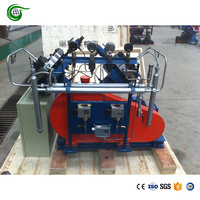 Compresor de Diafragma de Helio de Alta Pureza con Certificación CE, Entrada de 6 Bar, Salida de 200 Bar, Flujo de 35 Nm3/h, para Uso Industrial