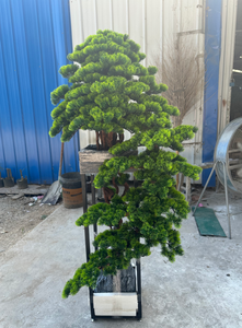 Plantas Artificiales para Recibir Invitados, Pino Decorativo, Nuevo Bonsái de Pino de Estilo Chino, <span class=keywords><strong>2m</strong></span> de Altura, Ecológico, Duradero, Forjado - Product Image 5