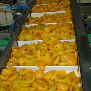 X-YES Çeşitli işleme ihtiyaçlarını karşılamak için esnek tasarım Tırmanan bantlı konveyörlerin imalatı Paketleme için küçük eğim - Product Image 6