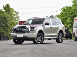 El coche nuevo más vendido de la fábrica Great Wall tank 500 <span class=keywords><strong>en</strong></span> 2022, el coche nuevo barato Great Wall suv, está a la <span class=keywords><strong>venta</strong></span>. - Product Image 5