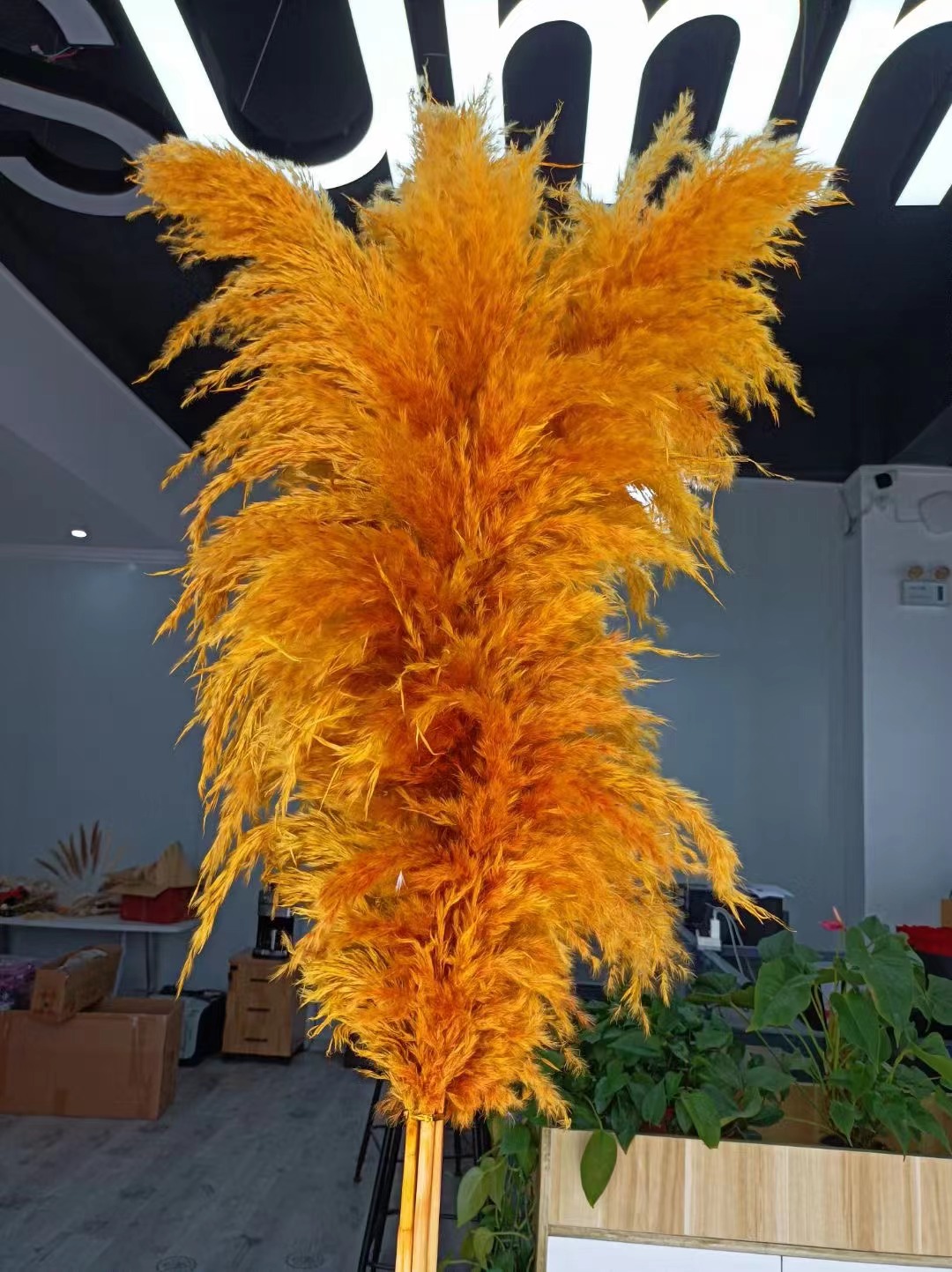 Orange foncé