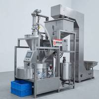 Machine à torréfier les noix en continu avec système d'alimentation automatique, équipement de torréfaction à bande en acier inoxydable pour usine alimentaire