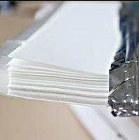 Fournitures de pâtisserie : Papier comestible A4 pour glaçage, feuille de sucre pour décoration de gâteaux, cartouche d'encre pour imprimante pour impression de reposteria