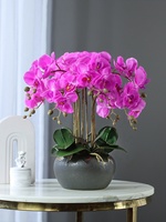 Luxe Maison Fleurs Plantes Décoratives Fleurs Artificielle Real Touch Orchid Fleur avec Pot