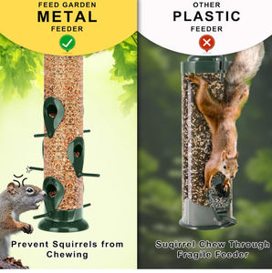 Nouvelle Offre Amazon : Niche à Oiseaux Suspendue Automatique en Acier Inoxydable, Étanche, Écologique et Anti-Écureuil pour Pigeons - Product Image 3