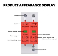 Rail SPD AC 20KA 40KA 60KA 2P 275V/385V maison parafoudre protecteur de protection contre les surtensions basse tension dispositif de protection