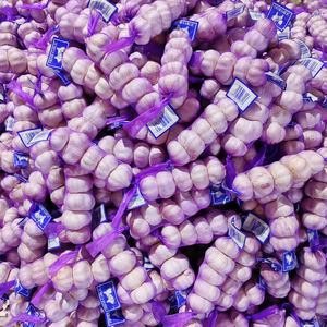 Alho Branco Orgânico Fresco e <span class=keywords><strong>Natural</strong></span> à Venda a Preços Baixos 5.0cm 5.5cm Fábrica de Alho de Jining - Product Image 5