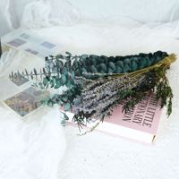 Feuilles d'eucalyptus séchées avec tiges de lavande en lot, en vrac, pour arrangements floraux de mariage, décoration intérieure, verdure, vente en gros d'usine OEM