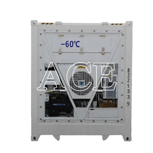 Trừ đi 60 độ tươi cá ngừ lưu trữ Thermo Vua tủ lạnh 40ft reefer sâu Blast feezer container giá - Product Image 3