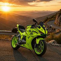 Moto sportive d'occasion QJmotor S 550s, 550cc, essence, bicylindre, refroidissement liquide, haute performance, Jiangsu