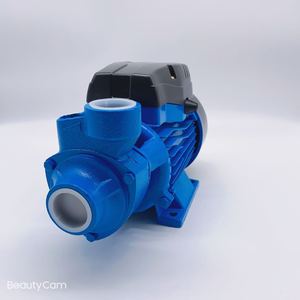 Bombas de Agua Domésticas de Alta Presión QB60, QB70, QB80 de 110v/220v y 60hz, 0.5HP, 0.75HP, 1HP, Bombas de Agua Eléctricas QB60 - Product Image 2