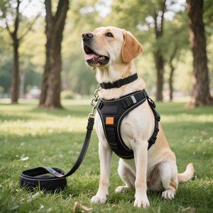 <span class=keywords><strong>Harness</strong></span> Anjing Mewah Desainer Berbahan Jaring dengan Bantalan, Set <span class=keywords><strong>Harness</strong></span> Anjing Gaya Fashion Terbaru yang Sedang Tren, <span class=keywords><strong>Harness</strong></span> Anjing Motif Mewah dari Nilon - Product Image 1