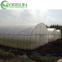 Serre agricole commerciale à arche simple, serre à arche simple, 30/40/50/60/100*8m, faible coût, ventilation latérale, style chinois