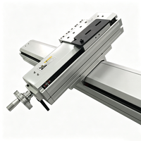 Module linéaire de haute précision avec actionneur à vis à billes, glissière CNC à double rail, adapté à la découpe laser automatisée