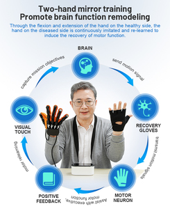 Gants robotisés de rééducation de la main pour usage vétérinaire et humain, équipement de thérapie post-AVC de qualité supérieure - Product Image 5