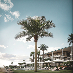 Nhà Sản Xuất Bán Sỉ Rất Thực Tế Ngoài Trời Nhân Tạo Palm Cây Dừa UV Bảo Vệ Năng Lượng Mặt Trời Đèn Thân Thiện Với Môi Đám Cưới - Product Image 1