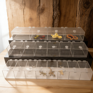 Caja de Cría de Reptiles de Acrílico Resistente, Recinto para Reptiles con Tapa, Terrario de Exhibición para Reptiles Pequeños - Product Image 6