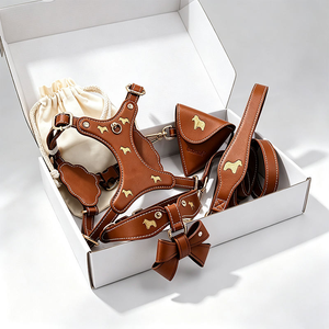 Customized Elegant and Luxury Soft Leather DLY Dog <b>Harness</b> with Cute Buckle and Leash Set Luxury Pet Chest Accessories - Product Image 2