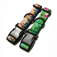 Collier d'entraînement pour chien personnalisé, imprimé par sublimation, avec sangle réglable à dégagement rapide, design tendance
