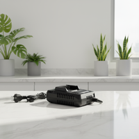 Le chargeur de batterie pour outils électriques peut être personnalisé avec plusieurs options d'alimentation, adapté à un usage domestique