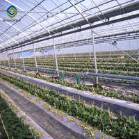 Sainpoly Serre Agricole Clé en Main Multi-Travées Structure Commerciale Cadres de Serre Agricole d'Occasion à Vendre