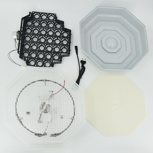 Incubateur <span class=keywords><strong>Janoel</strong></span> <span class=keywords><strong>48</strong></span> œufs à retournement automatique et chauffage uniforme, idéal pour usage domestique en intérieur - Grande Vente - Product Image 2