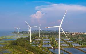 Jeffamine T-403 polyetheramine Epoxy chất làm cứng chữa đại lý được sử dụng cho lớp phủ epoxy - Product Image 3