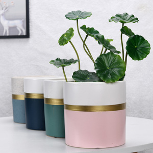 กระถางดอกไม้เซรามิกรูปทรงกระบอก ดีไซน์ทันสมัยสไตล์นอร์ดิก ขนาดใหญ่พิเศษ สำหรับปลูกกล้วยไม้ฟาแลนนอปซิสสีเขียว ไทเกอร์ ปิรัน - Product Image 3