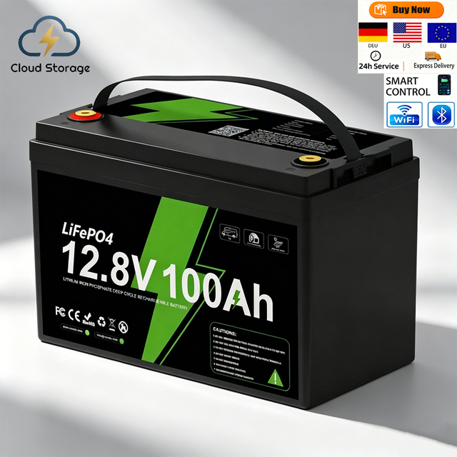 Customized 12.8V 100Ah LiFePO4 Solid State Lithium Battery Bluetooth Intelligent BMS 6000 Cycles -20~40C Operating Temp Cloud