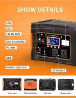 Fabrik-Großhandel LiFePO4-Batterie 1000W 110V/220V MPPT Reine Sinuswelle Solarpanel Tragbarer Solargenerator für Outdoor-Camping LED