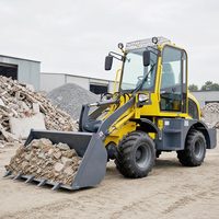 Chargeuse sur pneus Load Master 4 tonnes avec haute hauteur de déchargement pour utilisation dans les cimenteries et les silos