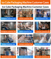 Machine d'emballage automatique verticale pour la formation, le remplissage et le scellage de sacs de glaçons de 1 kg, 2 kg et 5 kg