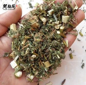 KAIYANGE Vente en gros à bas prix <span class=keywords><strong>Artemisia</strong></span> séchée chinoise Annua Leave Cut Bain de pieds Qing Hao <span class=keywords><strong>Artemisia</strong></span> Annua <span class=keywords><strong>Tisane</strong></span> - Product Image 4