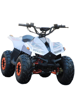 Cuatrimoto Infantil 2WD de Cuatro Tiempos, Construcción Portátil de Acero, Motor de 110cc con Transmisión Automática por Cadena para Todoterreno - Product Image 3