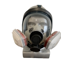20-Year Factory-Accredited Dual Filter Gas Mask NBC Respirators Survival Mask with High Quality Face Cover