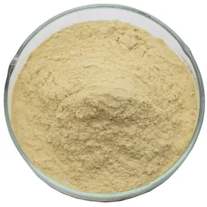 Food Supplement 2000ppm Chromium Yeast powder