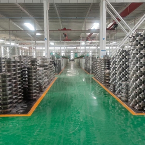 Tùy chỉnh áp lực cao đường kính lớn hình dn300 PN16 en1092 giả mạo thép carbon thép không gỉ hàn cổ mặt bích - Product Image 5