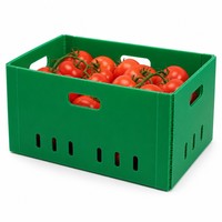 Caisse en plastique ondulé en PP vert imperméable réutilisable avec trous d'aération pour l'expédition de tomates et de légumes