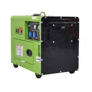 Bison Low Fuel Consumption 50/60Hz 230/400V Home Single Phase Silent 3Kva Diesel Generator