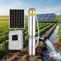 Pompe submersible solaire personnalisable 1300W 4 pouces avec moteur AC/DC PMSM et impeller en plastique MPPT pour l'irrigation agricole