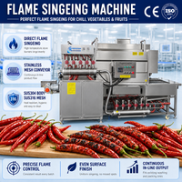 Machine à rôtir les légumes à flamme continue double face, machine à rôtir les piments et les poivrons avec bande transporteuse en acier inoxydable