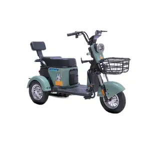 成人3轮电动自行车三轮车价格带2个儿童马达其他电子摩托车250Cc摩托车三轮车