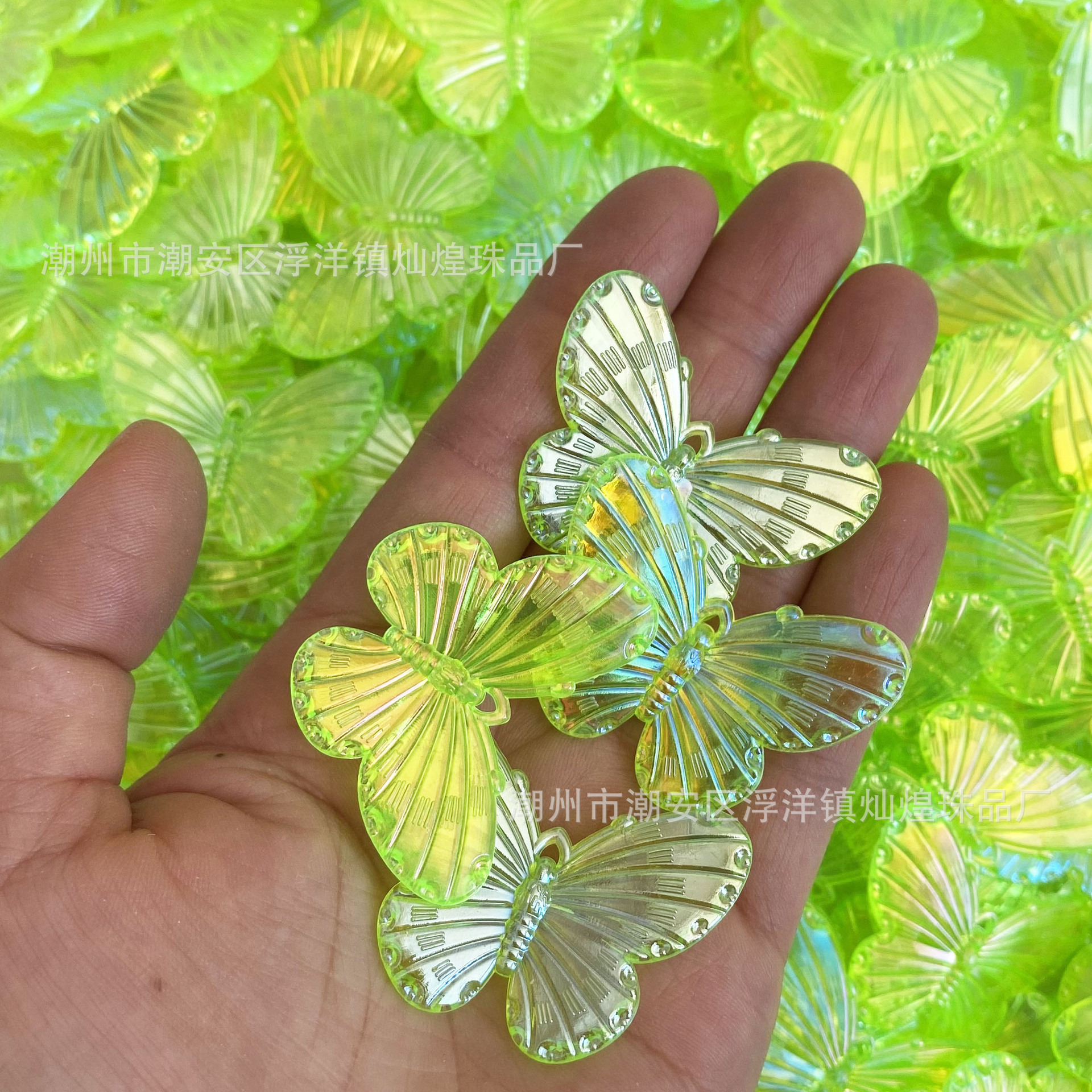 ผีเสื้อสีรุ้งเรืองแสงสีเขียว 14