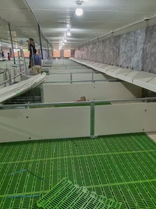 Giá rẻ PVC Hollow tấm Tường Nội Thất Ốp bảng phân vùng - Product Image 6