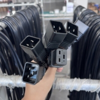 Câble d'extension robuste IEC 60320 C20 vers C19 16A 1875W 250V avec conducteurs 14AWG pour applications de serveurs de grande taille