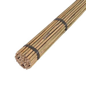 Tonkin-Bastones <span class=keywords><strong>de</strong></span> bambú, 18-20mm x 300cm - Product Image 2