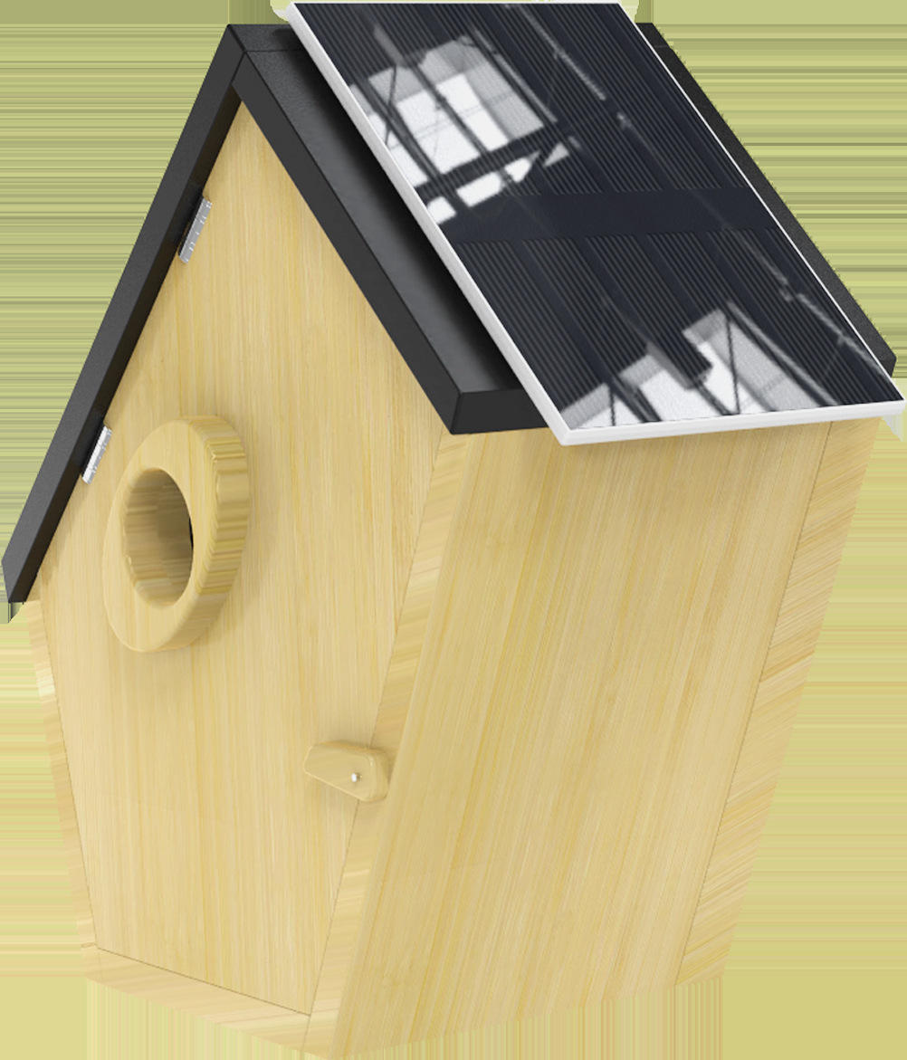 Couleur bois de bambou